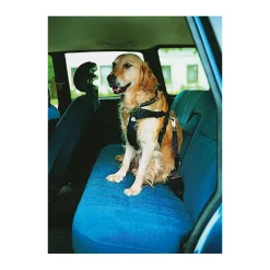 Trixie Auto-Geschirr schwarz L 70-90 cm