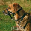 Trixie Top Trainer Ausbildungsgeschirr L 31 cm