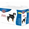 Trixie Dog Hundewindeln 12St. L