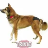 Trixie Dog Schutzhöschen schwarz XS 20-25cm