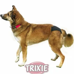Trixie Dog Schutzhöschen schwarz XS 20-25cm