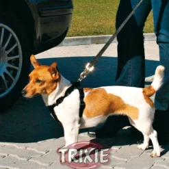 Trixie Ersatzkurzführer schwarz 45-70cm/30mm