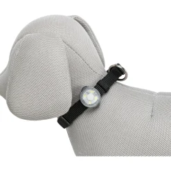 Trixie Flasher USB 3 x 8 cm spritzwassergeschützt