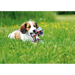 Trixie Spieltau mit 4 Knoten 54 cm