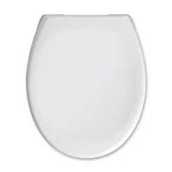 Valblue WC-Sitz Pebble Duroplast