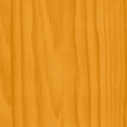 Vincent 2in1 Dauerschutz Kiefer 2,5 L