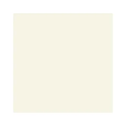 Vincent 2in1 Fussbodenfarbe cremeweiß 750 ml