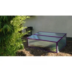 Vitavia Frühbeet Levana violett