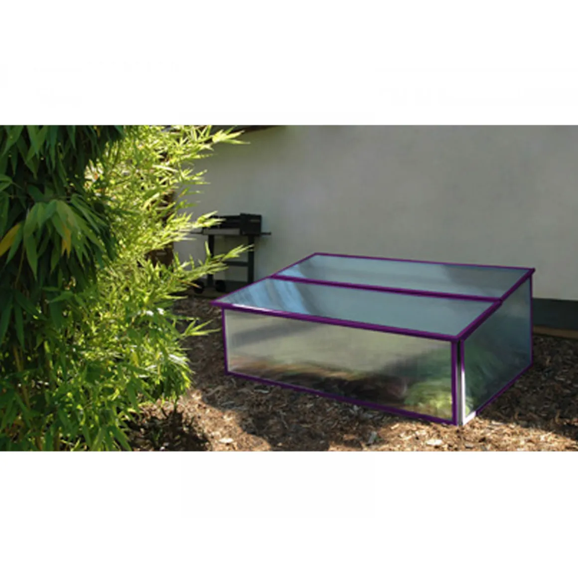 Vitavia Frühbeet Levana violett