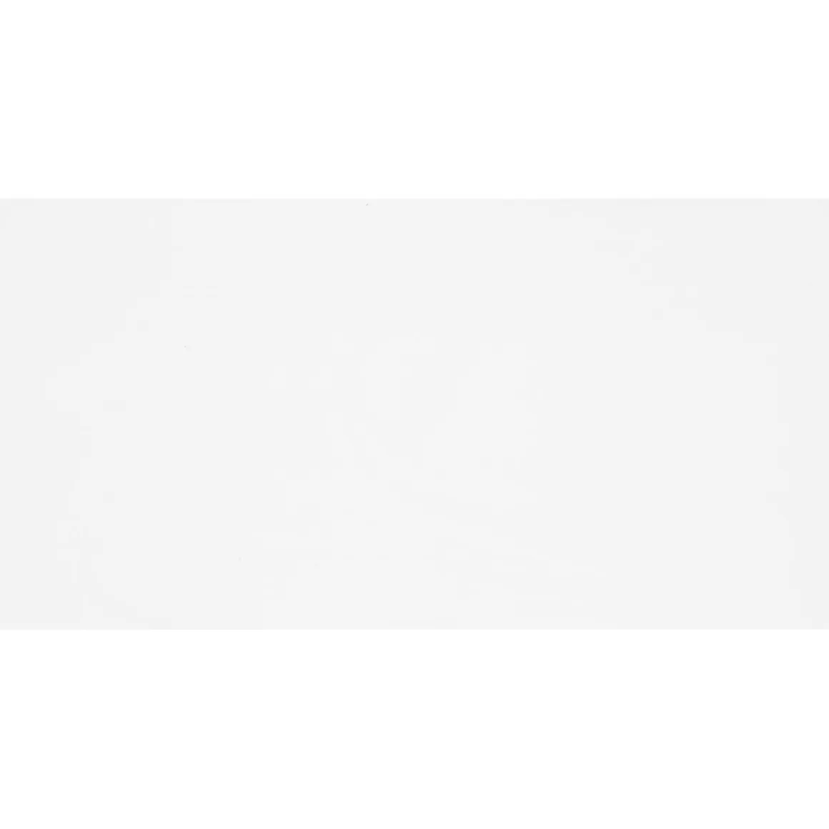 Wandfliese Bianca weiß matt rektifiziert 60 x 30 cm