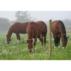 Weidezaun Top Line Horewire 200 m weiß