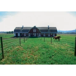 Weidezaun Top Line Horewire 200 m weiß