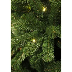 Weihnachtsbaum Charlton HxD215x127cm LEDgruen 180L Tips 805