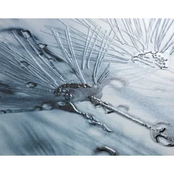 Wenko WC-Sitz Sereno mit Relief