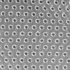 Windhager Frühbeet-Folie Supergrow 5x1,35 m