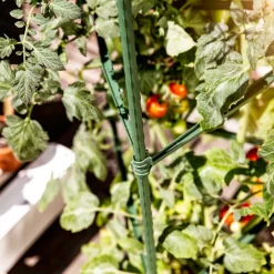 Windhager Tomaten-Rankturm 150x30 cm