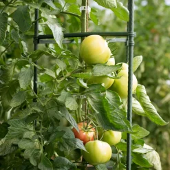 Windhager Tomaten-Rankturm 150x30 cm