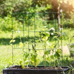 Windhager Tomaten-Turm 35x35x118 cm 4-teilig