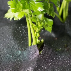 Windhager Unkrautfolie Anti Weed 0,9x5 m