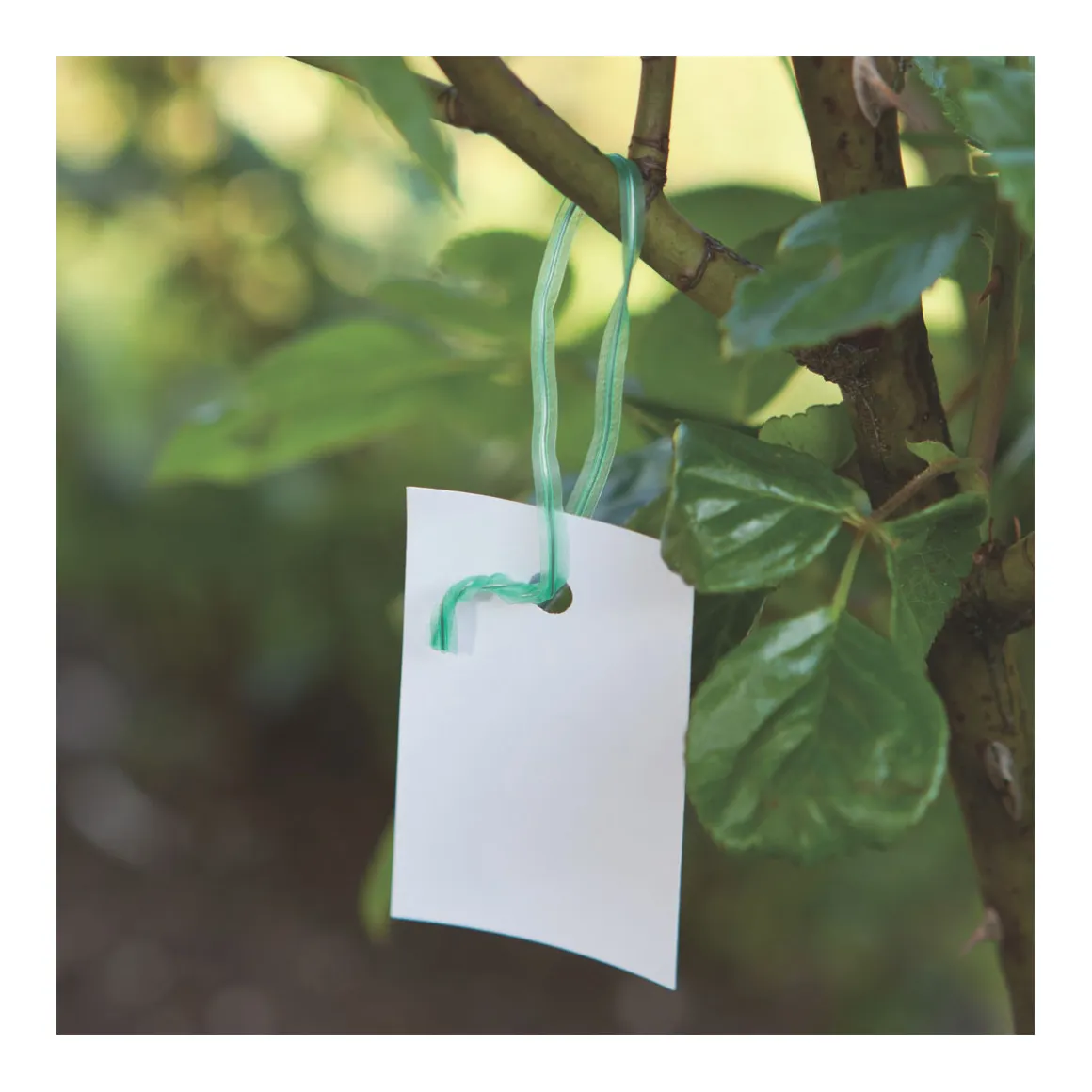 Windhager Drehbinder 100 Stück