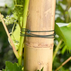 Windhager Gartendraht 20m 2 mm grün