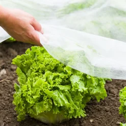 Windhager Garten-Vlies 5 x 1,5m weiß