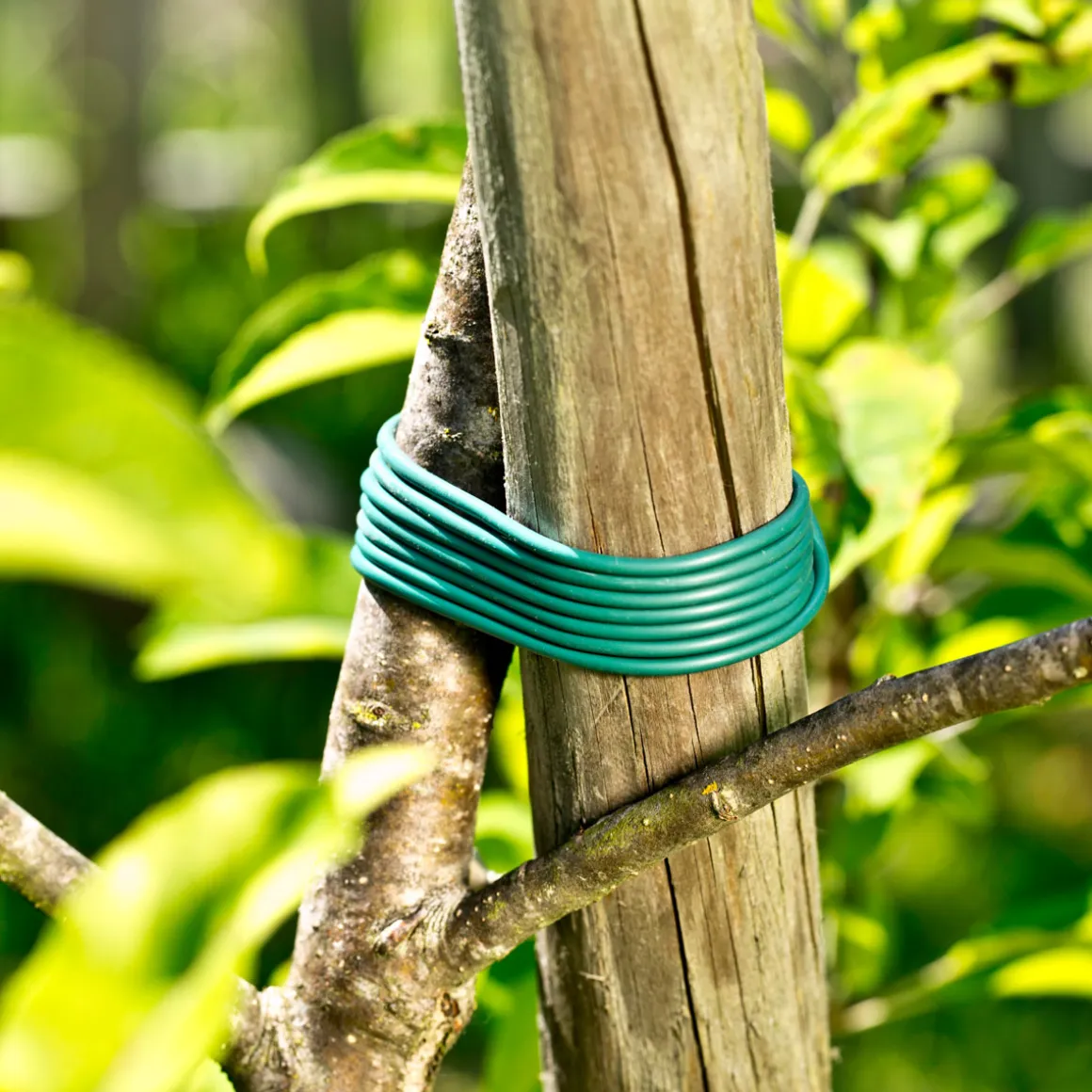 Windhager Kunststoffschnurmitwachsend 23m