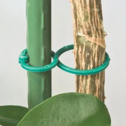 Windhager Ringbinder 25 Stück