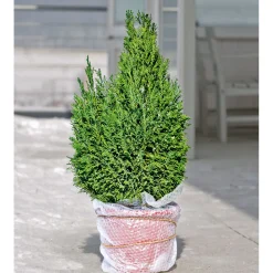 WInter-Kälteschutzfolie 5 x 1 m