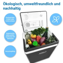 Zorn Akku-Kühlbox ZE32 30 L 12/230 V grau